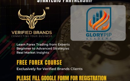 Learn Forex Trading — From Beginner to Advanced