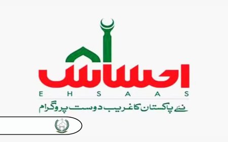 KP Launches Interest-Free Ehsaas Loan Scheme to Boost Employment and Poverty Alleviation