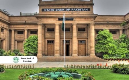 1st cohort of Regulatory Sandbox: SBP announces short-listed applicants
