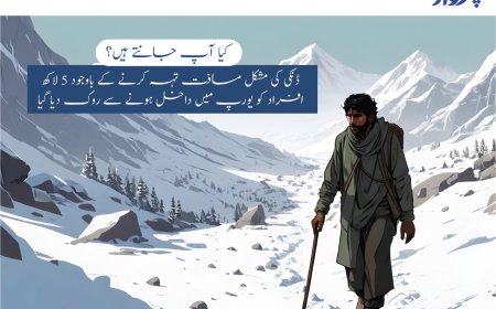 Pervaaz digital campaign educates Pakistani youth on safer migrations practices