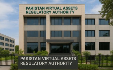 Senate Committee Recommends Shifting Virtual Assets Authority under Finance Division