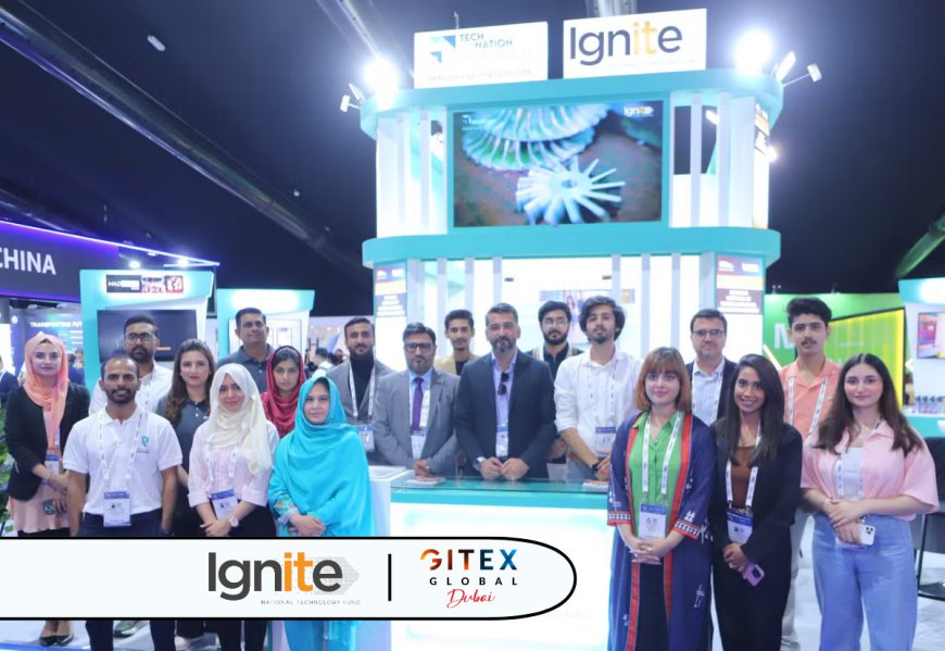 Pakistan Achieves Record Participation at GITEX Global 2024